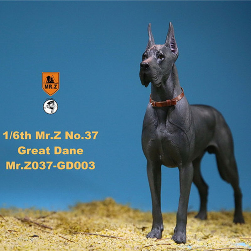 Mr.Z 1/6 037-GD Resin PVC Miniature Animal Model Great Dane Dog Models Toy Fit 12 Mr.Z 1/6 037-GD Resin PVC Miniature Animal Model Great Dane Dog Models Toy Fit 12