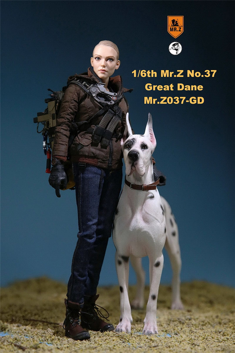Mr.Z 1/6 037-GD Resin PVC Miniature Animal Model Great Dane Dog Models Toy Fit 12 Mr.Z 1/6 037-GD Resin PVC Miniature Animal Model Great Dane Dog Models Toy Fit 12