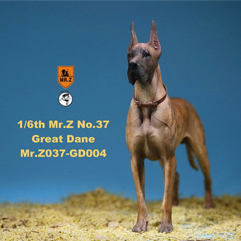 Mr.Z 1/6 037-GD Resin PVC Miniature Animal Model Great Dane Dog Models Toy Fit 12 Mr.Z 1/6 037-GD Resin PVC Miniature Animal Model Great Dane Dog Models Toy Fit 12
