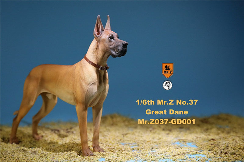 Mr.Z 1/6 037-GD Resin PVC Miniature Animal Model Great Dane Dog Models Toy Fit 12 Mr.Z 1/6 037-GD Resin PVC Miniature Animal Model Great Dane Dog Models Toy Fit 12