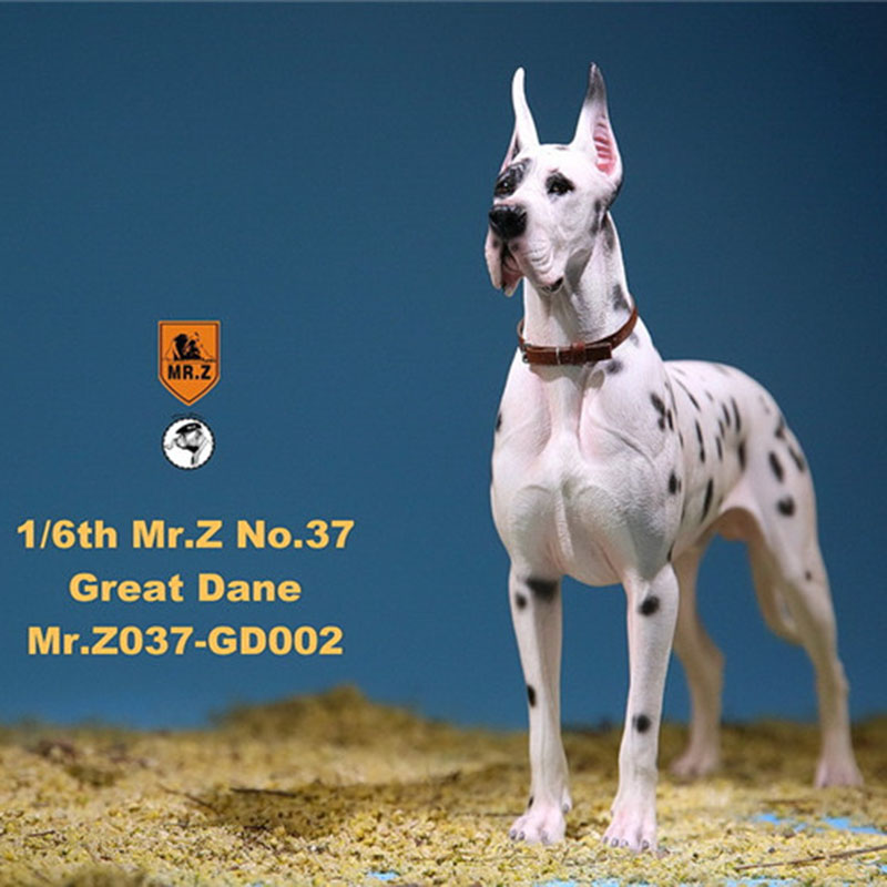 Mr.Z 1/6 037-GD Resin PVC Miniature Animal Model Great Dane Dog Models Toy Fit 12 Mr.Z 1/6 037-GD Resin PVC Miniature Animal Model Great Dane Dog Models Toy Fit 12