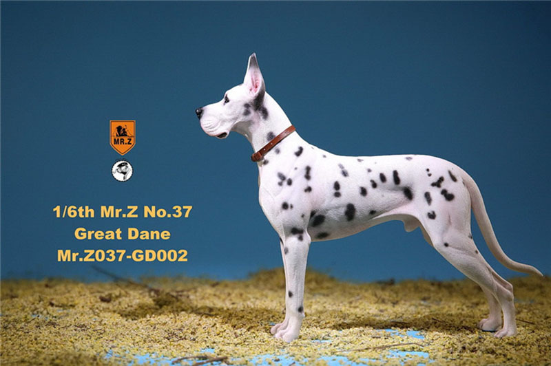 Mr.Z 1/6 037-GD Resin PVC Miniature Animal Model Great Dane Dog Models Toy Fit 12 Mr.Z 1/6 037-GD Resin PVC Miniature Animal Model Great Dane Dog Models Toy Fit 12