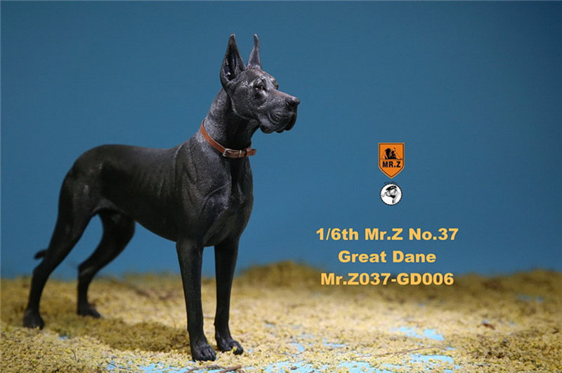Mr.Z 1/6 037-GD Resin PVC Miniature Animal Model Great Dane Dog Models Toy Fit 12 Mr.Z 1/6 037-GD Resin PVC Miniature Animal Model Great Dane Dog Models Toy Fit 12