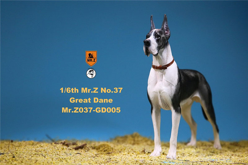 Mr.Z 1/6 037-GD Resin PVC Miniature Animal Model Great Dane Dog Models Toy Fit 12 Mr.Z 1/6 037-GD Resin PVC Miniature Animal Model Great Dane Dog Models Toy Fit 12
