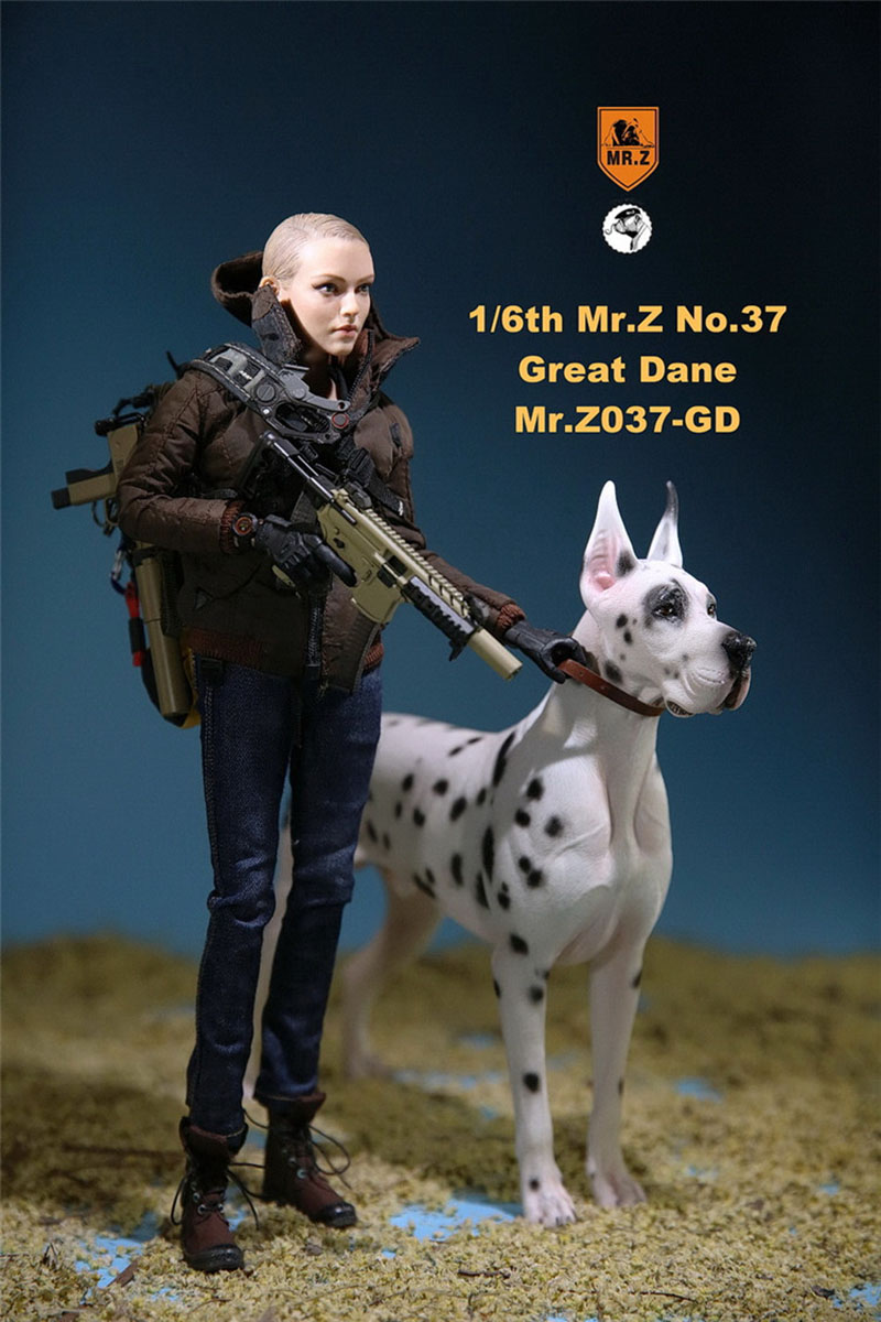 Mr.Z 1/6 037-GD Resin PVC Miniature Animal Model Great Dane Dog Models Toy Fit 12 Mr.Z 1/6 037-GD Resin PVC Miniature Animal Model Great Dane Dog Models Toy Fit 12