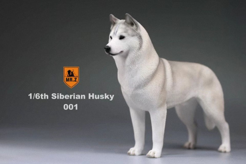1/6 Mr.Z Husky Siberian Husky Simulation Animal Model Toy for 12' Action Figure Accessory Home Car Decoration Ornaments Gifts