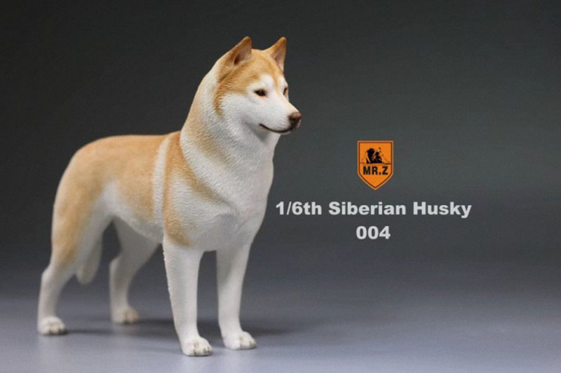1/6 Mr.Z Husky Siberian Husky Simulation Animal Model Toy for 12' Action Figure Accessory Home Car Decoration Ornaments Gifts