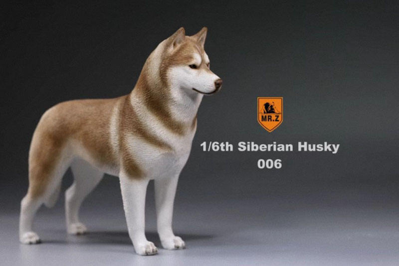 1/6 Mr.Z Husky Siberian Husky Simulation Animal Model Toy for 12' Action Figure Accessory Home Car Decoration Ornaments Gifts
