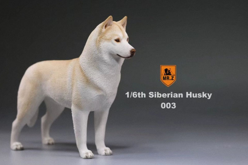 1/6 Mr.Z Husky Siberian Husky Simulation Animal Model Toy for 12' Action Figure Accessory Home Car Decoration Ornaments Gifts