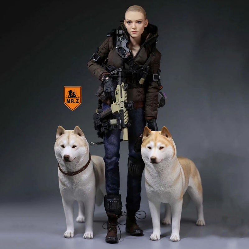 1/6 Mr.Z Husky Siberian Husky Simulation Animal Model Toy for 12' Action Figure Accessory Home Car Decoration Ornaments Gifts