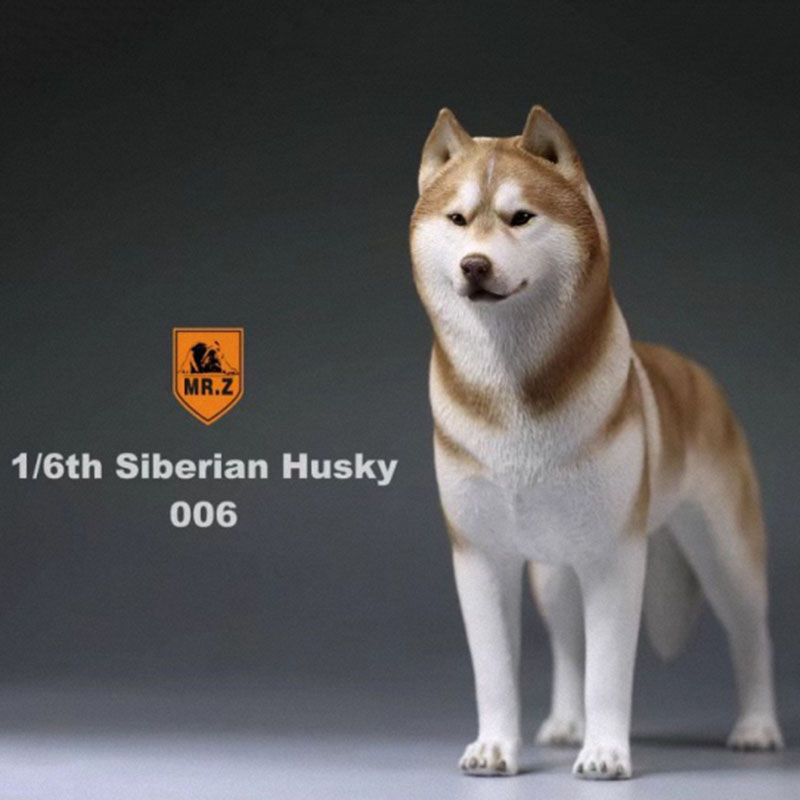 1/6 Mr.Z Husky Siberian Husky Simulation Animal Model Toy for 12' Action Figure Accessory Home Car Decoration Ornaments Gifts