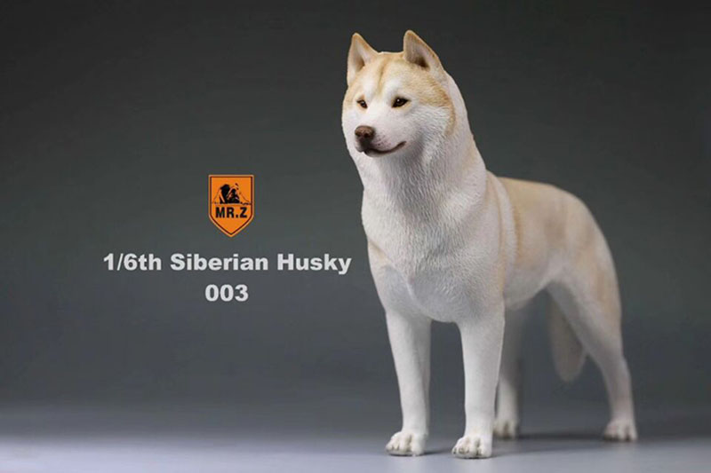 1/6 Mr.Z Husky Siberian Husky Simulation Animal Model Toy for 12' Action Figure Accessory Home Car Decoration Ornaments Gifts