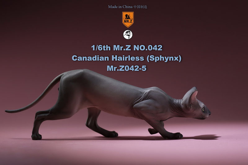 Mr.Z 1/6 Canadian No.040-BS Hairless Cat Sphynx Simulation Model Toy Animal Static Model for 12' Action Figure Accessories Show