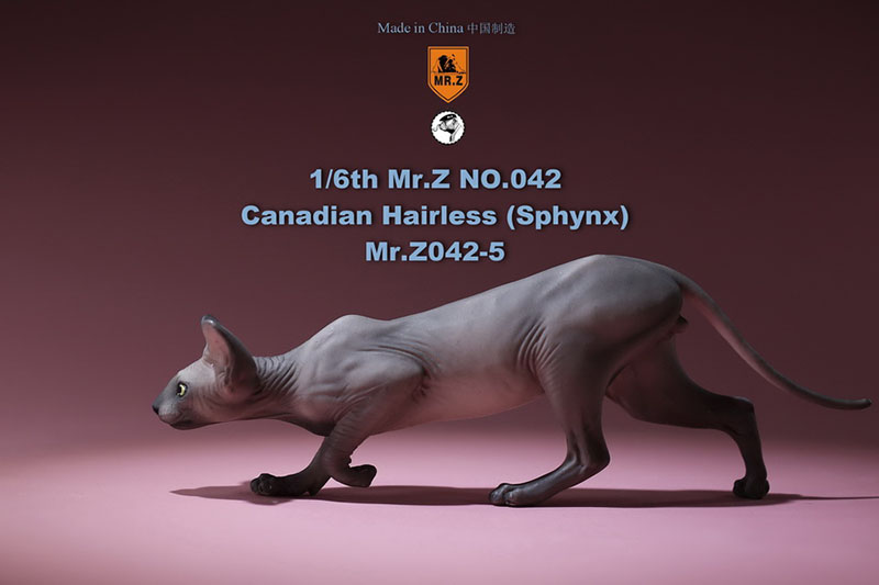 Mr.Z 1/6 Canadian No.040-BS Hairless Cat Sphynx Simulation Model Toy Animal Static Model for 12' Action Figure Accessories Show