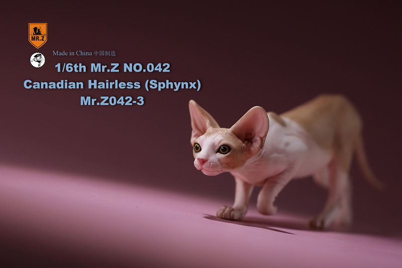 Mr.Z 1/6 Canadian No.040-BS Hairless Cat Sphynx Simulation Model Toy Animal Static Model for 12' Action Figure Accessories Show