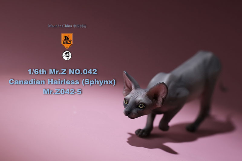 Mr.Z 1/6 Canadian No.040-BS Hairless Cat Sphynx Simulation Model Toy Animal Static Model for 12' Action Figure Accessories Show