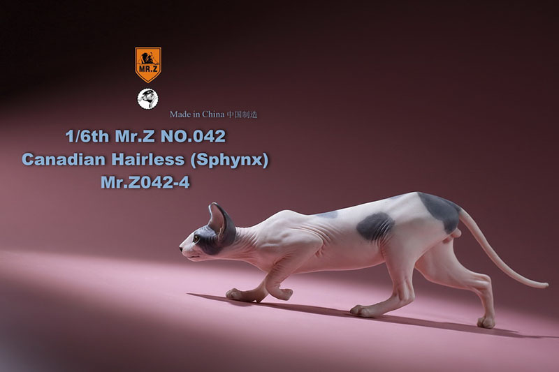 Mr.Z 1/6 Canadian No.040-BS Hairless Cat Sphynx Simulation Model Toy Animal Static Model for 12' Action Figure Accessories Show
