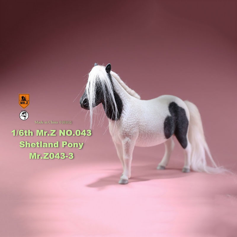 Mr.Z 16.5CM 1/6 Animal Model MRZ043 Shetland Pony Horse Model for 12 Inches Action Figure Accessory Home Decoration Display Show