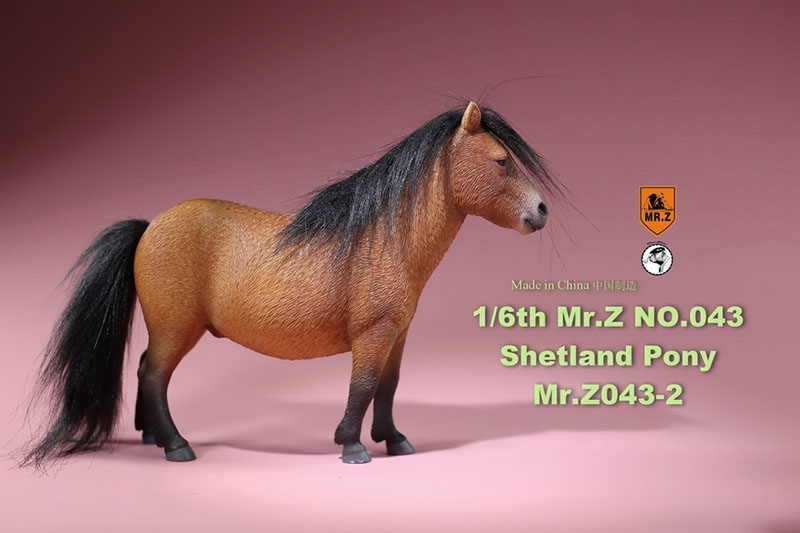 Mr.Z 16.5CM 1/6 Animal Model MRZ043 Shetland Pony Horse Model for 12 Inches Action Figure Accessory Home Decoration Display Show