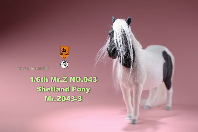 Mr.Z 16.5CM 1/6 Animal Model MRZ043 Shetland Pony Horse Model for 12 Inches Action Figure Accessory Home Decoration Display Show
