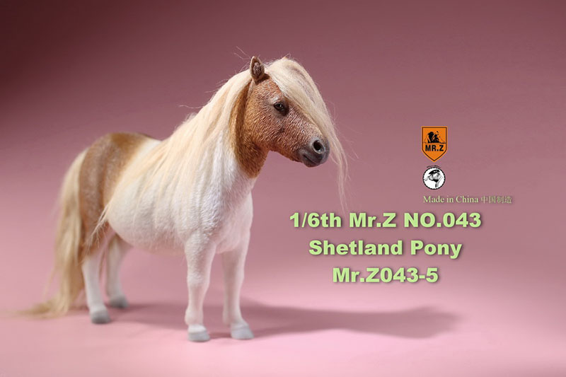 Mr.Z 16.5CM 1/6 Animal Model MRZ043 Shetland Pony Horse Model for 12 Inches Action Figure Accessory Home Decoration Display Show