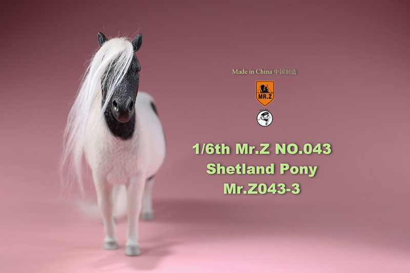 Mr.Z 16.5CM 1/6 Animal Model MRZ043 Shetland Pony Horse Model for 12 Inches Action Figure Accessory Home Decoration Display Show