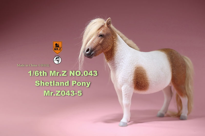 Mr.Z 16.5CM 1/6 Animal Model MRZ043 Shetland Pony Horse Model for 12 Inches Action Figure Accessory Home Decoration Display Show