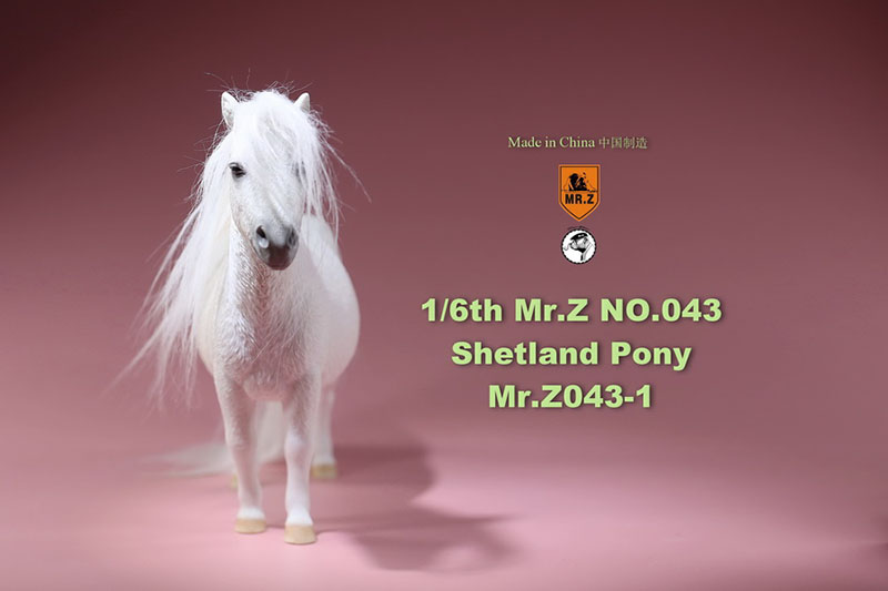 Mr.Z 16.5CM 1/6 Animal Model MRZ043 Shetland Pony Horse Model for 12 Inches Action Figure Accessory Home Decoration Display Show
