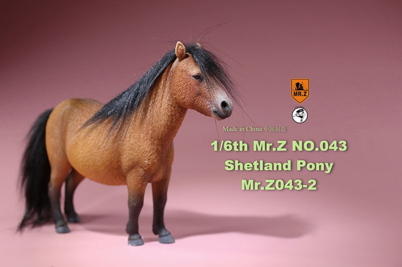 Mr.Z 16.5CM 1/6 Animal Model MRZ043 Shetland Pony Horse Model for 12 Inches Action Figure Accessory Home Decoration Display Show