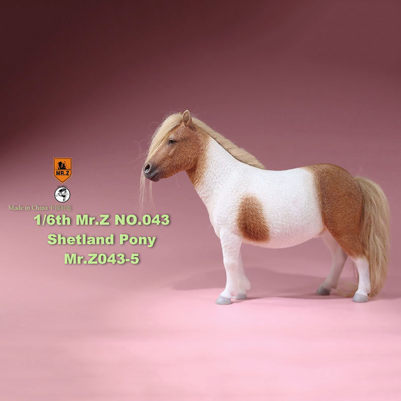 Mr.Z 16.5CM 1/6 Animal Model MRZ043 Shetland Pony Horse Model for 12 Inches Action Figure Accessory Home Decoration Display Show