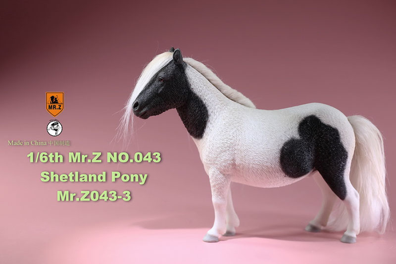 Mr.Z 16.5CM 1/6 Animal Model MRZ043 Shetland Pony Horse Model for 12 Inches Action Figure Accessory Home Decoration Display Show