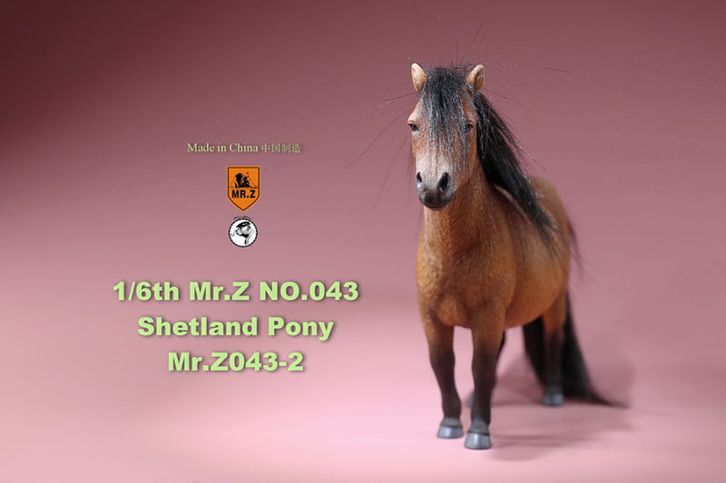 Mr.Z 16.5CM 1/6 Animal Model MRZ043 Shetland Pony Horse Model for 12 Inches Action Figure Accessory Home Decoration Display Show