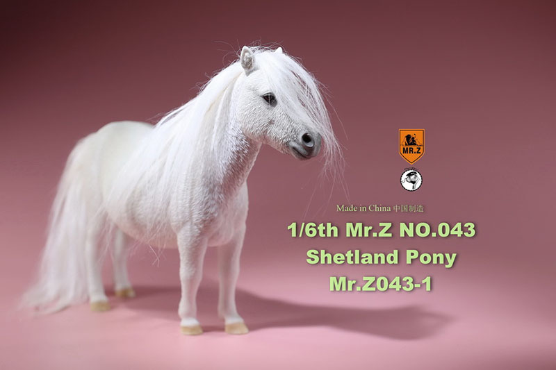 Mr.Z 16.5CM 1/6 Animal Model MRZ043 Shetland Pony Horse Model for 12 Inches Action Figure Accessory Home Decoration Display Show