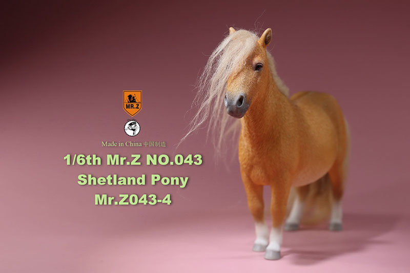 Mr.Z 16.5CM 1/6 Animal Model MRZ043 Shetland Pony Horse Model for 12 Inches Action Figure Accessory Home Decoration Display Show