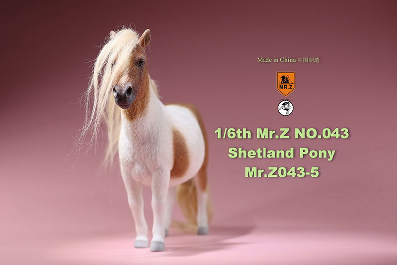 Mr.Z 16.5CM 1/6 Animal Model MRZ043 Shetland Pony Horse Model for 12 Inches Action Figure Accessory Home Decoration Display Show