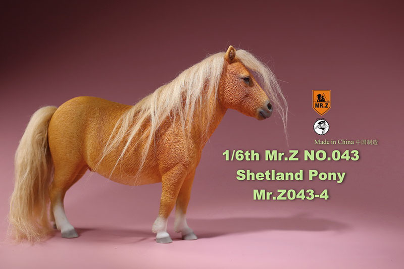 Mr.Z 16.5CM 1/6 Animal Model MRZ043 Shetland Pony Horse Model for 12 Inches Action Figure Accessory Home Decoration Display Show