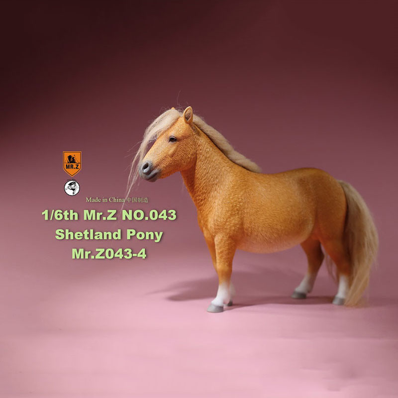 Mr.Z 16.5CM 1/6 Animal Model MRZ043 Shetland Pony Horse Model for 12 Inches Action Figure Accessory Home Decoration Display Show