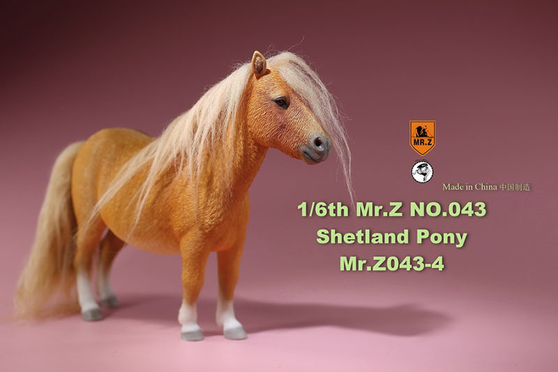Mr.Z 16.5CM 1/6 Animal Model MRZ043 Shetland Pony Horse Model for 12 Inches Action Figure Accessory Home Decoration Display Show