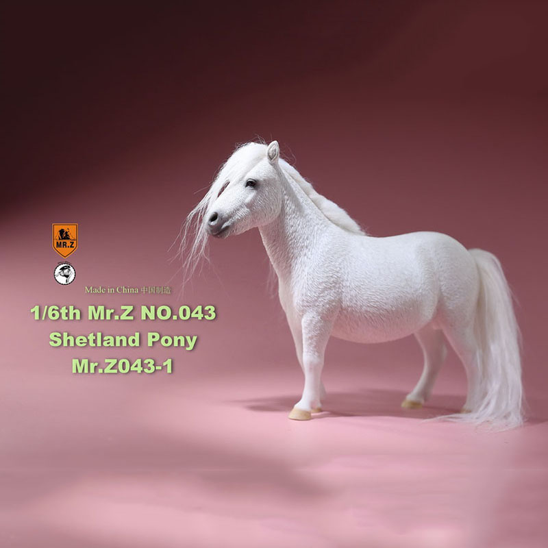 Mr.Z 16.5CM 1/6 Animal Model MRZ043 Shetland Pony Horse Model for 12 Inches Action Figure Accessory Home Decoration Display Show