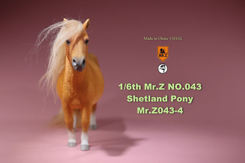 Mr.Z 16.5CM 1/6 Animal Model MRZ043 Shetland Pony Horse Model for 12 Inches Action Figure Accessory Home Decoration Display Show