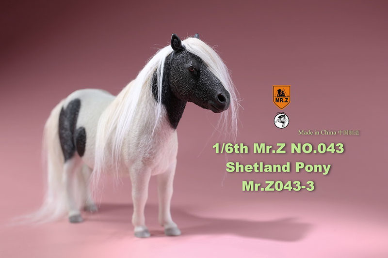 Mr.Z 16.5CM 1/6 Animal Model MRZ043 Shetland Pony Horse Model for 12 Inches Action Figure Accessory Home Decoration Display Show