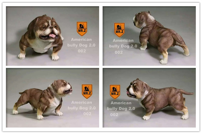 14.5CM 1:6 Scale Mr.Z Resin PVC USA American Bully Dog Model Toy Fit for 12 14.5CM 1:6 Scale Mr.Z Resin PVC USA American Bully Dog Model Toy Fit for 12