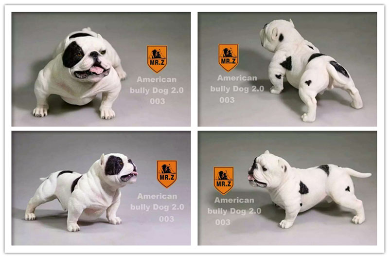 14.5CM 1:6 Scale Mr.Z Resin PVC USA American Bully Dog Model Toy Fit for 12 14.5CM 1:6 Scale Mr.Z Resin PVC USA American Bully Dog Model Toy Fit for 12