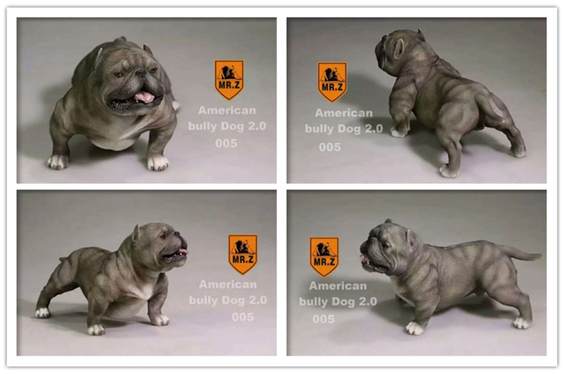 14.5CM 1:6 Scale Mr.Z Resin PVC USA American Bully Dog Model Toy Fit for 12 14.5CM 1:6 Scale Mr.Z Resin PVC USA American Bully Dog Model Toy Fit for 12