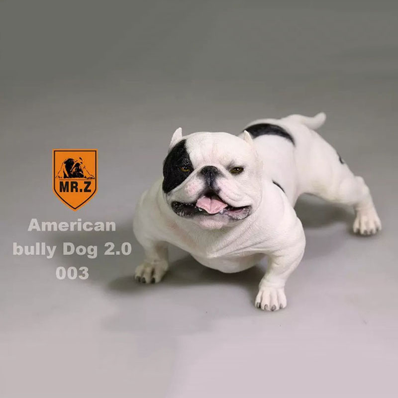 14.5CM 1:6 Scale Mr.Z Resin PVC USA American Bully Dog Model Toy Fit for 12 14.5CM 1:6 Scale Mr.Z Resin PVC USA American Bully Dog Model Toy Fit for 12
