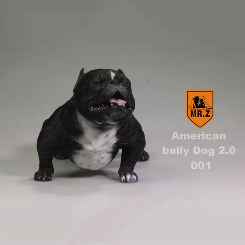 14.5CM 1:6 Scale Mr.Z Resin PVC USA American Bully Dog Model Toy Fit for 12 14.5CM 1:6 Scale Mr.Z Resin PVC USA American Bully Dog Model Toy Fit for 12