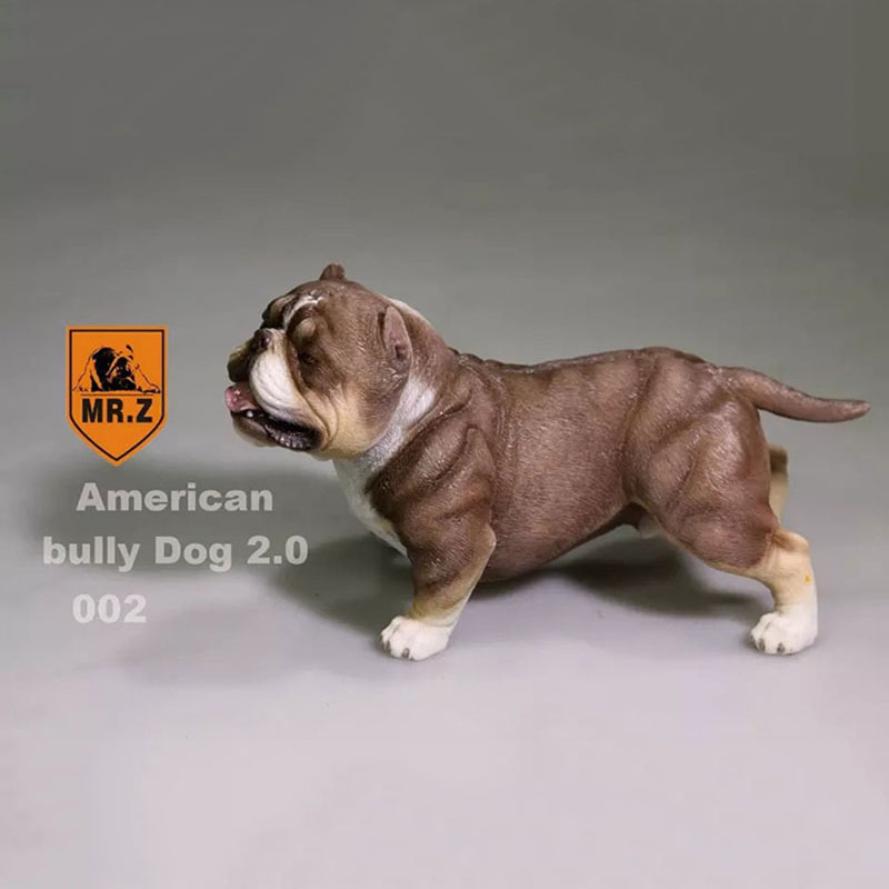 14.5CM 1:6 Scale Mr.Z Resin PVC USA American Bully Dog Model Toy Fit for 12 14.5CM 1:6 Scale Mr.Z Resin PVC USA American Bully Dog Model Toy Fit for 12