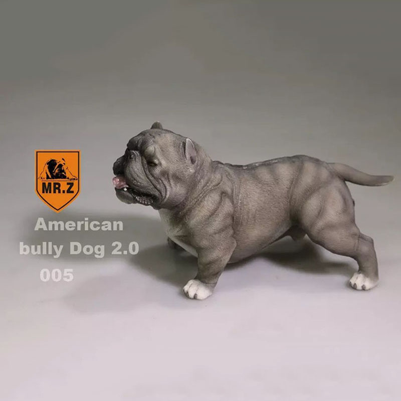 14.5CM 1:6 Scale Mr.Z Resin PVC USA American Bully Dog Model Toy Fit for 12 14.5CM 1:6 Scale Mr.Z Resin PVC USA American Bully Dog Model Toy Fit for 12