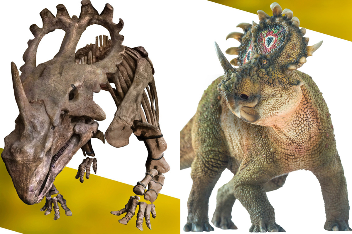 PNSO Sinoceratops Figure Ceratopsidae Model Dinosaur Collector Animal Adult Kids Triceratops Toy Christmas Birthday Gift PNSO Sinoceratops Figure Ceratopsidae Model Dinosaur Collector Animal Adult Kids Triceratops Toy Christmas Birthday Gift