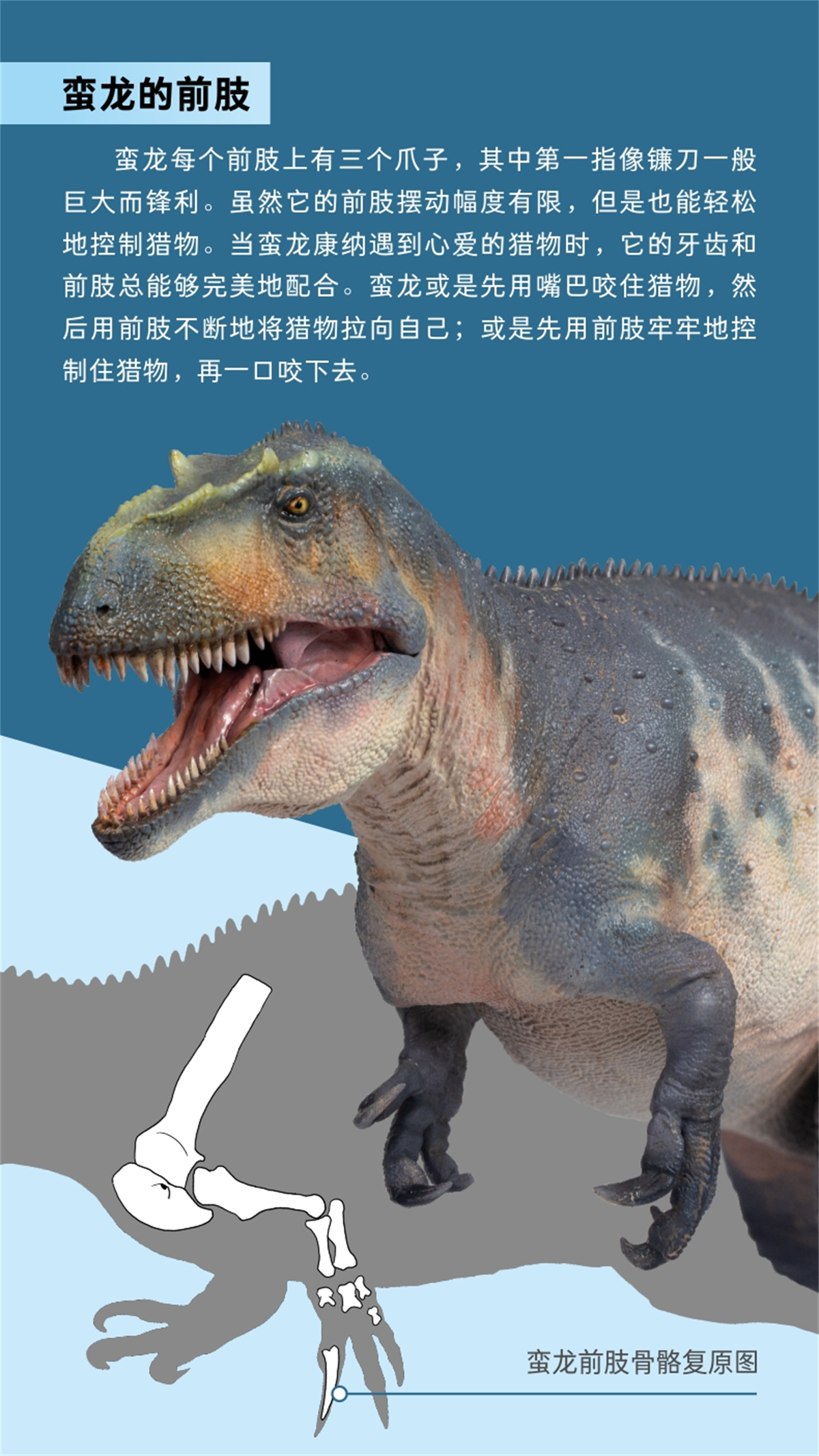 IN STOCK! PNSO 48 Connor The Torvosaurus Model Megalosauridae Dinosaur Animal Collector Decoration Adult Toy Figure Gift IN STOCK! PNSO 48 Connor The Torvosaurus Model Megalosauridae Dinosaur Animal Collector Decoration Adult Toy Figure Gift